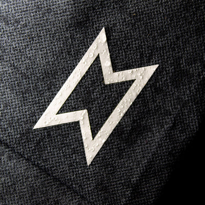 logo en silicon
